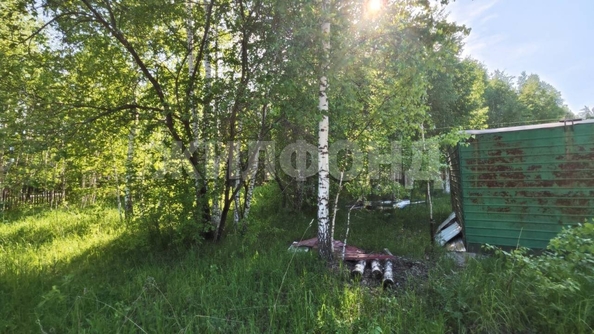 
  Продам  дачный участок, 13.2 соток, Синий Утёс

. Фото 8.