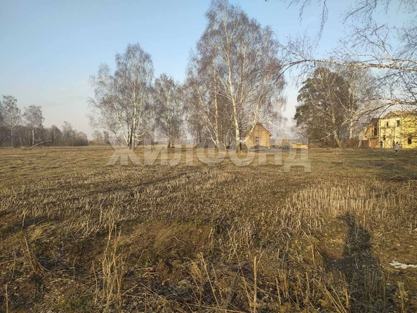 
  Продам  дачный участок, 9.65 соток, Курлек

. Фото 7.