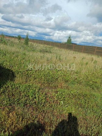 
  Продается земельный участок, 17.83 соток, поселок Чёрная Речка
. Фото 6.