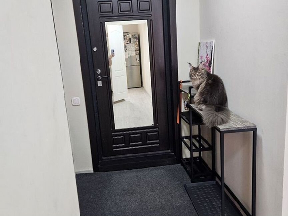 
  Продается 1-комн. квартира, 39 м², Береговая ул, д. 3
. Фото 15.