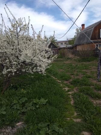 
  Продам земельный участок, 12.5 соток, Томск
. Фото 5.