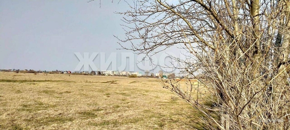 
  Продам дачу, 6 соток, Томск

. Фото 3.