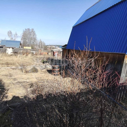 
  Продам  дачный участок, 15 соток, Томск

. Фото 2.