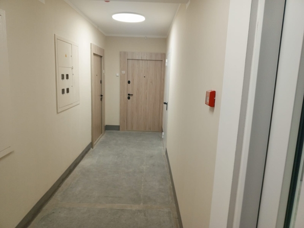 
  Сдается 2-комн. квартира, 55.6 м², Пришвина ул
. Фото 21.
