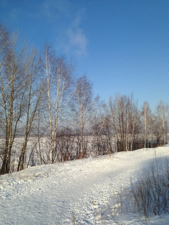 
  Сдам 3-комн. квартиру, 62.4 м², Береговая ул, д. 25
. Фото 7.