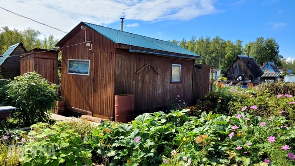 
  Продается дача, 50 м², территория сдт Ветеран Вооруженных Сил(д Просекино)
. Фото 10.