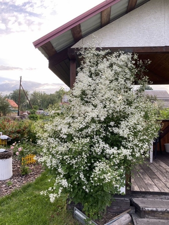 
  Продается дача, 48 м², деревня Писарево
. Фото 2.