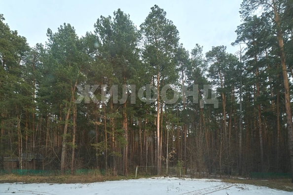 
  Продается 3-комн. квартира, 72 м², Путевая ул, д. 1з
. Фото 5.