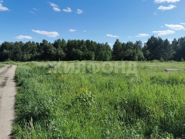 
  Продается земельный участок, 10 соток, село Кафтанчиково
. Фото 1.