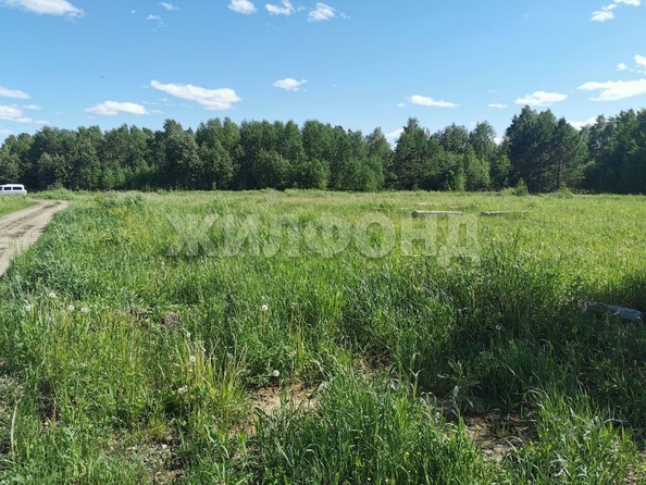 
  Продается земельный участок, 15 соток, село Кафтанчиково
. Фото 2.