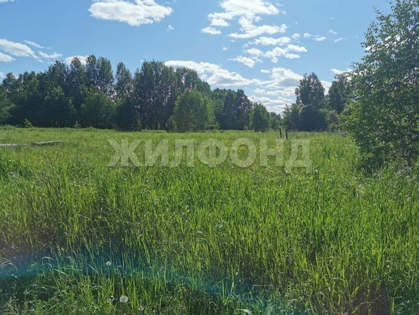 
  Продается земельный участок, 15 соток, село Кафтанчиково
. Фото 5.