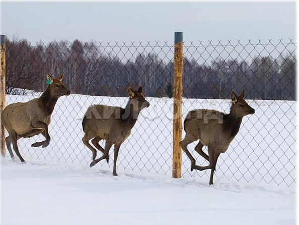 
  Продается дом, 92 м², село Елгай
. Фото 16.