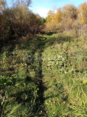 
  Продается дом, 60 м², село Кривошеино
. Фото 15.