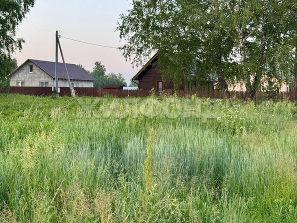 
  Продается земельный участок, 9.65 соток, село Курлек
. Фото 2.