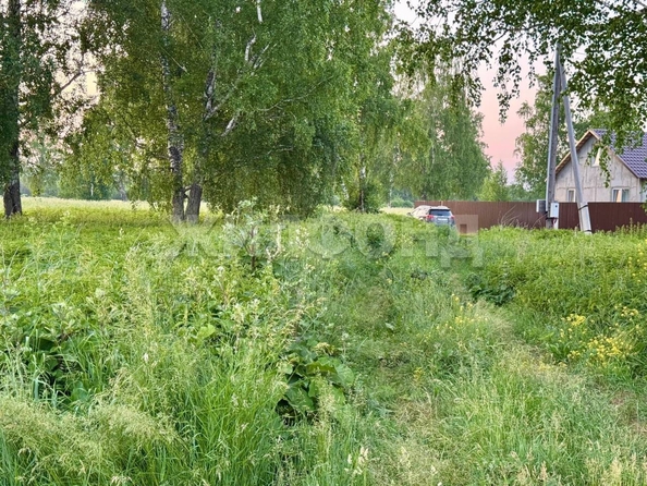 
  Продается земельный участок, 9.65 соток, село Курлек
. Фото 12.