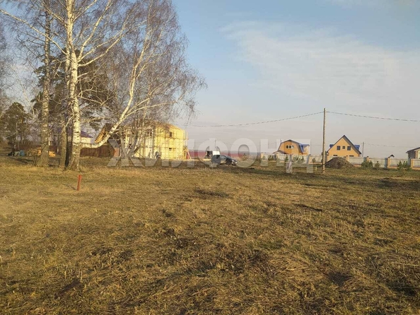 
  Продается земельный участок, 9.76 соток, село Курлек
. Фото 3.