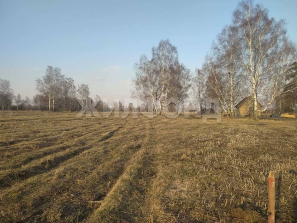 
  Продается земельный участок, 9.76 соток, село Курлек
. Фото 6.