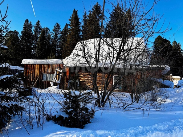 
  Продается земельный участок, 12.7 соток, село Курлек
. Фото 2.