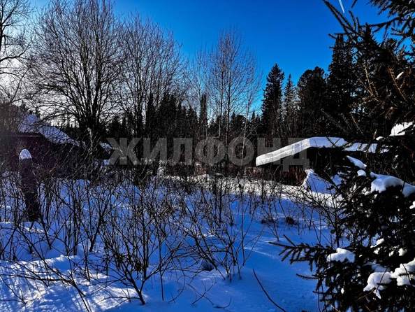 
  Продается земельный участок, 12.7 соток, село Курлек
. Фото 12.