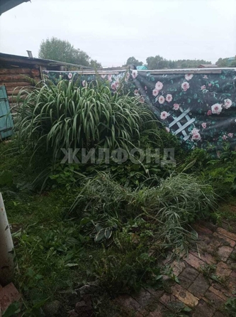 
  Продается дом, 31 м², деревня Старая Шегарка
. Фото 9.