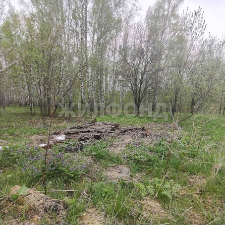 
  Продается земельный участок, 7.04 соток, Томск
. Фото 6.