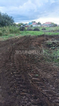 
  Продается земельный участок, 11.9 соток, деревня Барабинка
. Фото 1.