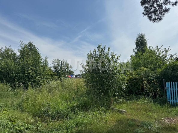 
  Продается земельный участок, 14.94 соток, село Калтай
. Фото 2.