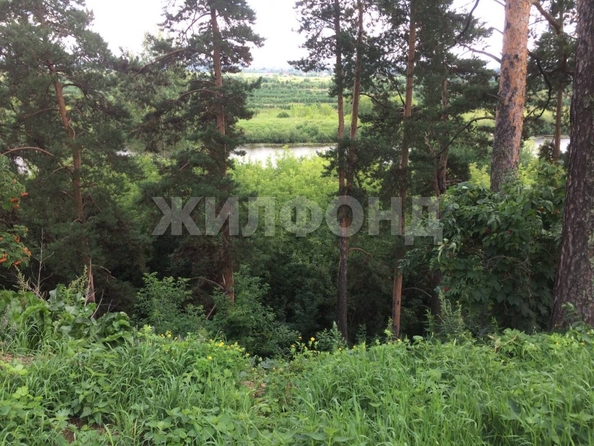 
  Продается дом, 35 м², село Тимирязевское
. Фото 6.