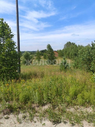 
  Продается земельный участок, 9.89 соток, село Корнилово
. Фото 3.