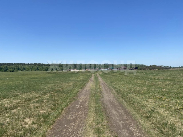 
  Продается земельный участок, 15 соток, село Курлек
. Фото 5.