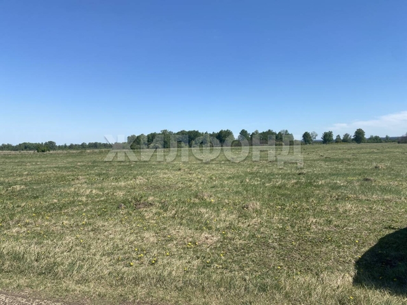 
  Продается земельный участок, 15 соток, село Курлек
. Фото 9.