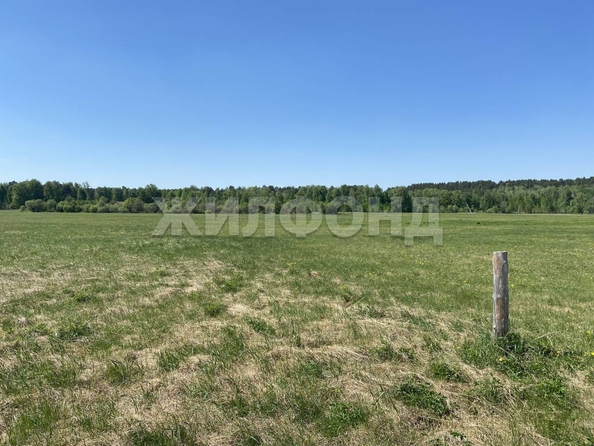 
  Продается земельный участок, 15 соток, село Курлек
. Фото 10.