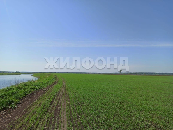 
  Продается земельный участок, 2480 соток, село Вершинино
. Фото 1.