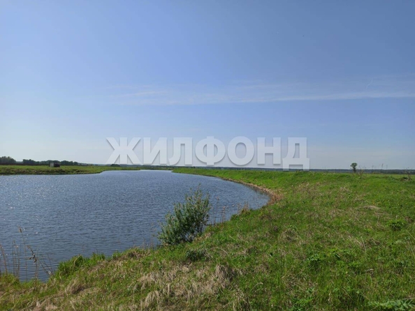 
  Продается земельный участок, 2480 соток, село Вершинино
. Фото 4.