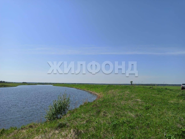 
  Продается земельный участок, 2480 соток, село Вершинино
. Фото 6.