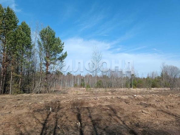 
  Продается земельный участок, 6 соток, деревня Кисловка
. Фото 6.