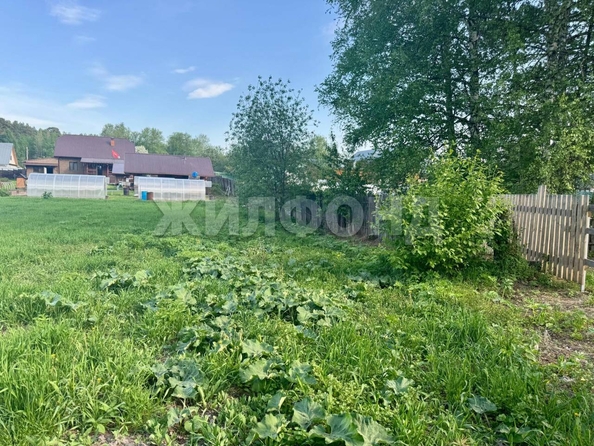 
  Продается земельный участок, 15 соток, село Курлек
. Фото 3.