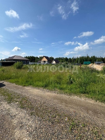 
  Продается земельный участок, 7.25 соток, село Корнилово
. Фото 7.