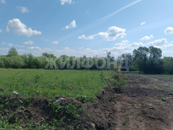 
  Продается земельный участок, 15 соток, село Калтай
. Фото 4.