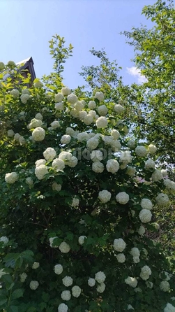 
  Продается дача, 42 м², село Курлек
. Фото 3.