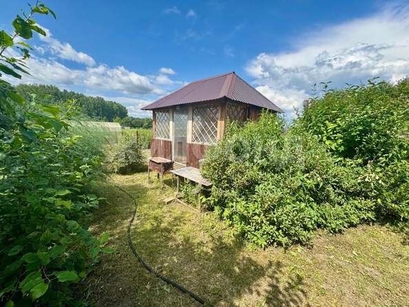 
  Продается дача, 42 м², село Курлек
. Фото 6.