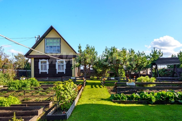 
  Продается дача, 58 м², село Курлек
. Фото 3.