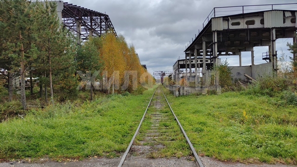 
  Продается производственное помещение, 100000 м², Кузовлевский тракт
. Фото 22.