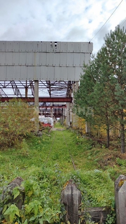 
  Продается производственное помещение, 100000 м², Кузовлевский тракт
. Фото 25.