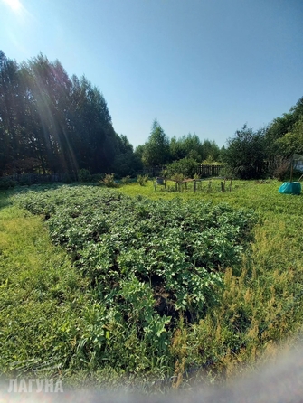 
  Продается дача 50 м². Фото 14.