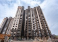 Барбарис: Ход строительства 5 июля 2025