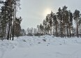 Расцветай у Академгородка: Ход строительства 25 марта 2026