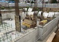 Никитич: Ход строительства 5 августа 2025