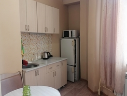 Снять однокомнатную квартиру Вильского ул, 20 м², 16000 рублей