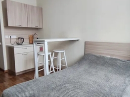 Снять однокомнатную квартиру Партизана Железняка ул, 17  м&sup2;, 2000 рублей
